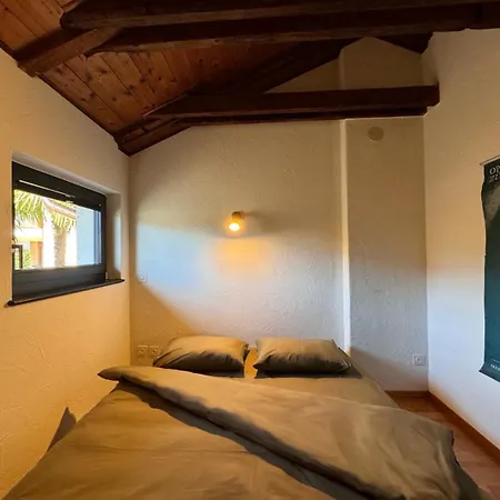 Cozy In The Apartment